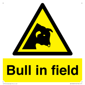 Bull in field